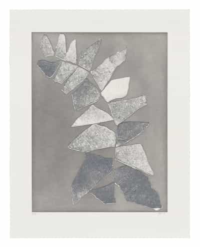 Sam Moyer, Leaflet 3, 2026