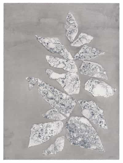 Sam Moyer, Leaflet 2, 2025